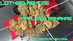 Lot420 AB T26 - Apples & Bananas - UK Medical Review