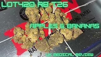 Lot420 AB T26 - Apples & Bananas - UK Medical Review