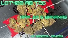 ERB B4S Video Thumbnail