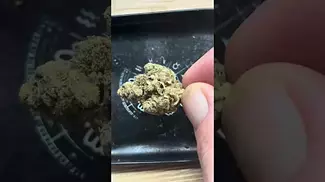 Uk legal #Four20Pharma grapes & cream review #medicated #itsokaytotalk #staymedicated #ukmedicine