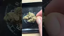  Sirspliffalot87 Video Thumbnail