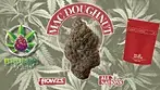 Mac Doughnuts by All Nations T27 : Medical Cannabis Review 