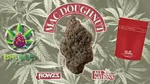Big Bud Reviews Video Thumbnail