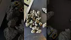 miracle valley MAC 1+ vs Mac memedica