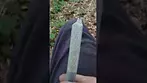Roll Test - Gary Busey