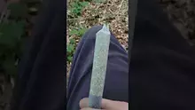 Pseudo Recreational Video Thumbnail