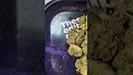 CURALEAF GMO X ZKZ (UK PRESCRIPTION MEDICATION)