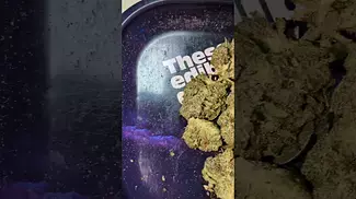 CURALEAF GMO X ZKZ (UK PRESCRIPTION MEDICATION)