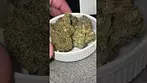 Medcan - tokoloshe sherbet