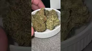 Medcan - tokoloshe sherbet