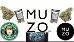 Gastro Pop By Muzo Review