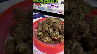 Mamedica Purple Goo.