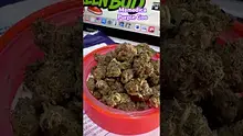 Doc Green Bud Video Thumbnail