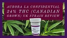Cannabis is Medicine Video Thumbnail