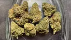Aurora T31 Pink Diesel weight