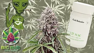 Mac OG by Craft Botanics T27 : Medical Cannabis Review 