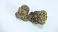 Video Thumbnail: med canna diaries