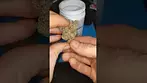 Craft Botanics Georgia Pie T27 GGP