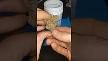 Pressed & Medicinal Video Thumbnail