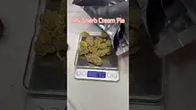 Review Budd Video Thumbnail