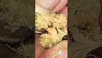 Kasa Verde - LA Baker - \