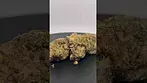 IPS/Safricanna - Mac3 | Full review incoming #ukmedicalcannabis