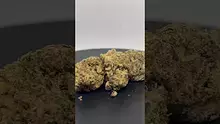 Herb Gaming Video Thumbnail