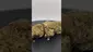 Video Thumbnail: Herb Gaming