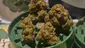 Video Thumbnail: Keep Blazing Stay Amazing
