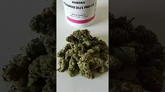Aurora Pink Diesel 31/1 PND-CA
