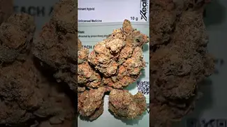4C Labs Morning Sun UK MEDICAL