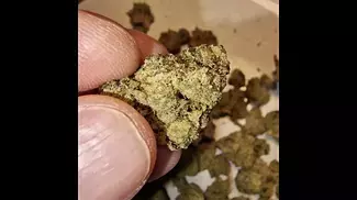 UK LEGAL MEDS: #Mamedica Black Garlic 26% #mmj #uklegal