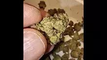 Smacksalad Video Thumbnail