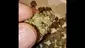 Video Thumbnail: Smacksalad