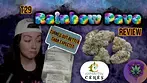 Rainbow Pave Review