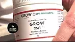 GROW Strawberry Banana T25 Legal UK Medical Cannabis (Great Job) 