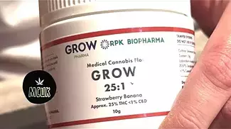 GROW Strawberry Banana T25 Legal UK Medical Cannabis (Great Job) 