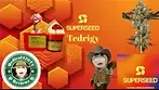 Gelato Cheesecake By Superseeds Medical Review