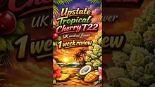VIP THC Video Thumbnail