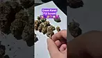 Green Karat - Fiji Sunset (T29%)(UK Medical Cannabis Prescription)