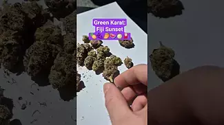 Green Karat - Fiji Sunset (T29%)(UK Medical Cannabis Prescription)