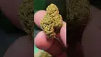 Pink Kush by 4C labs 33%THC,,,BETA IRRADIATED.  Medical prescription cannabis