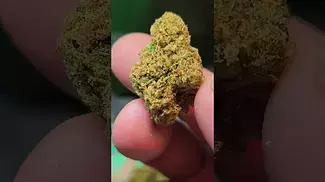 Pink Kush by 4C labs 33%THC,,,BETA IRRADIATED.  Medical prescription cannabis