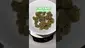Video Thumbnail: Review Budd