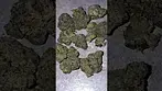 Carmel - Spiked Mai Tai #legalcannabis #medicalmarijuanapatient #cannabiseducation