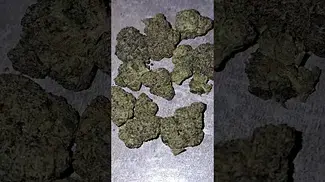 Carmel - Spiked Mai Tai #legalcannabis #medicalmarijuanapatient #cannabiseducation