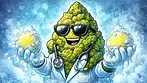Aurora: Frozen Lemon Haze (Full review)