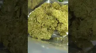 Papers | Animal Face Cookies | UK Medical Flower | First Look 