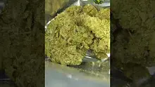 VIP THC Video Thumbnail