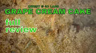 GRAPE CREAM CAKE | Qwest & 4C Labs | FULL REVIEW